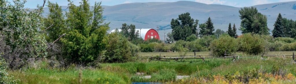 United States: national landscape in significant ways